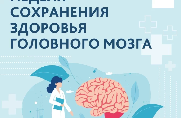Для здоровья мозга необходимо